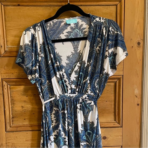 Carry Maternity dress - Picture 2 of 2